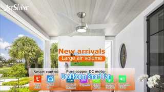 Luce LED remota per ventilatore da soffitto in ABS da 48 pollici