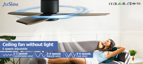 Ultime notizie aziendali su Strategie di vendita stagionali per ventilatori da soffitto