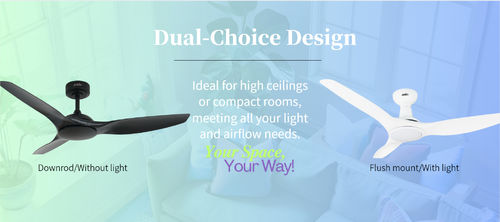 Ultime notizie aziendali su Un ventilatore, molte possibilità: Opzioni personalizzabili da 1stShine