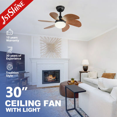 1stshine/OEM Logo 6 lame Kit di luce LED BLDC ventilatore di soffitto residenziale con 2-