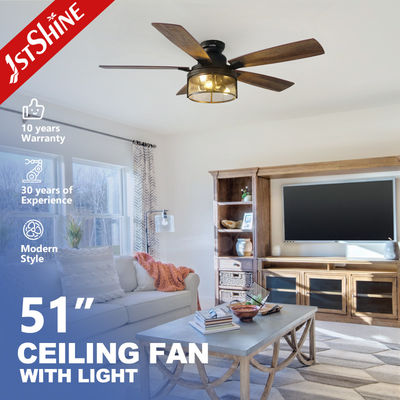2- 110-240V/50Hz-60Hz Lighting Ceiling Fan con telecomando e design in ferro elegante